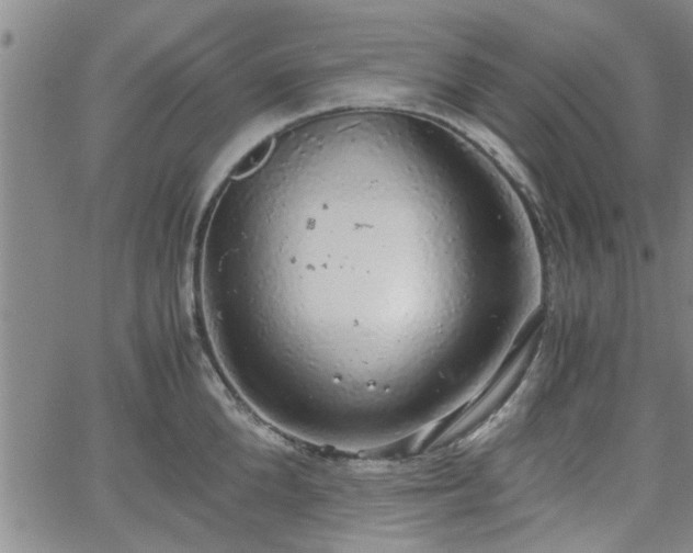 X0000058780904200510031017