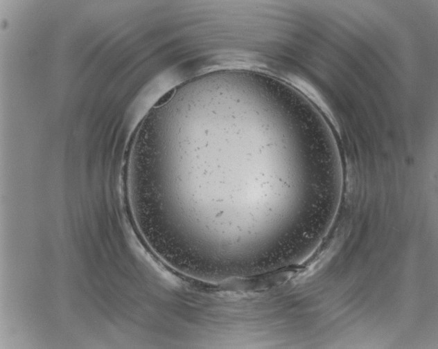 X0000058780906200510031017