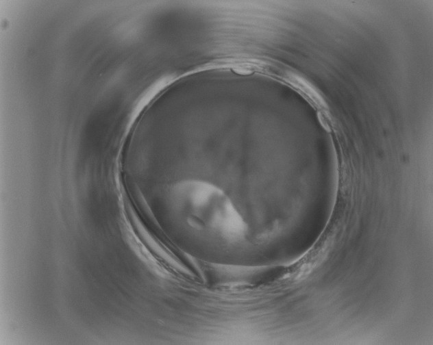 X0000058780907200510031017