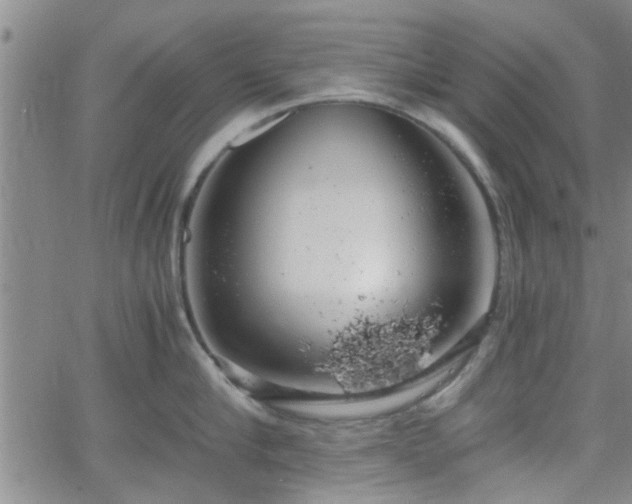 X0000058780910200510031017