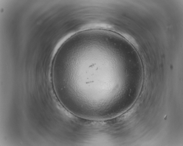 X0000058780912200510031017