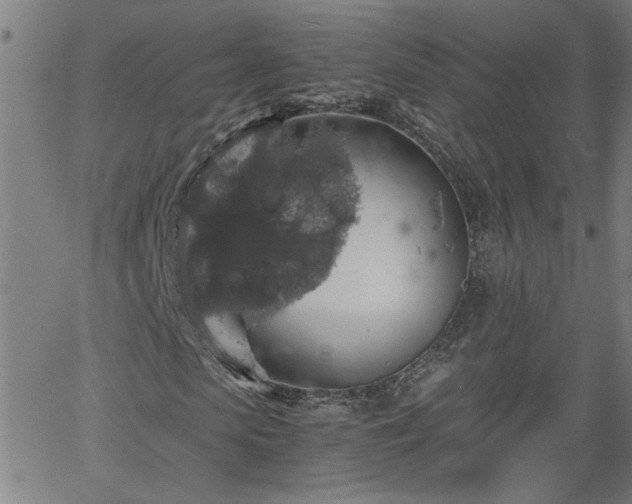 X0000058780913200510031016