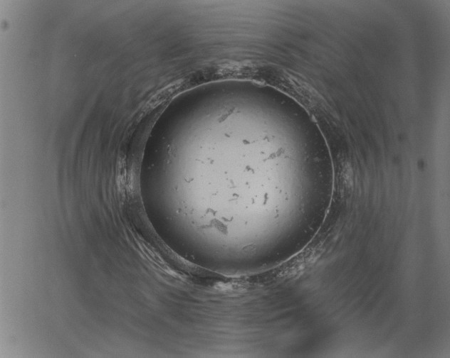 X0000058780914200510031016