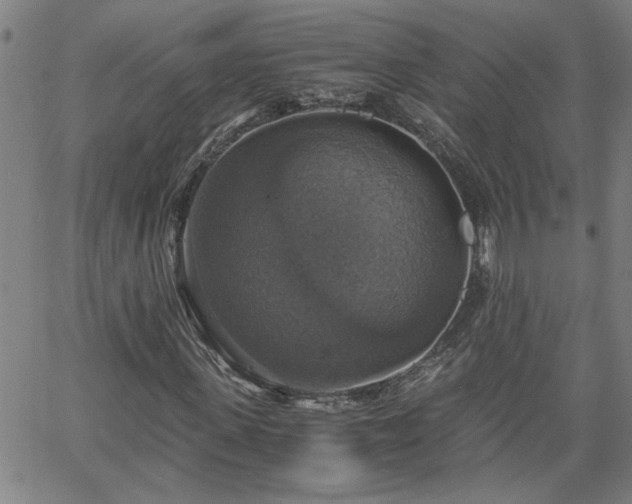 X0000058780915200510031016