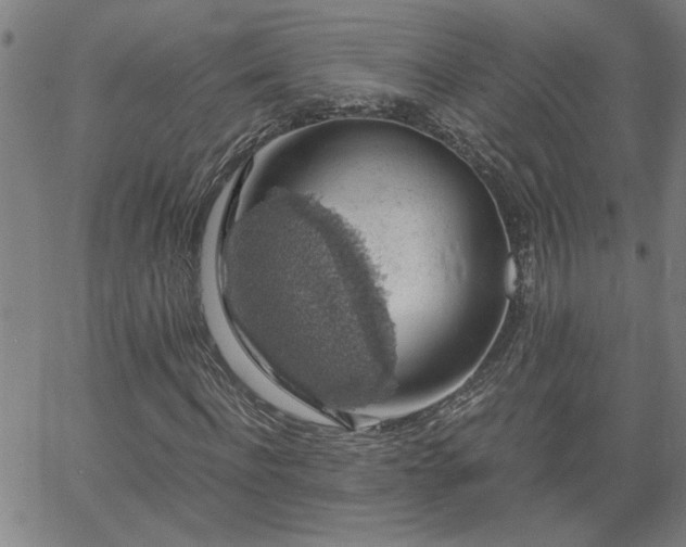 X0000058780916200510031016