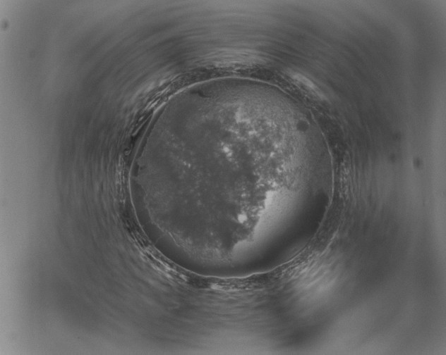 X0000058780917200510031016