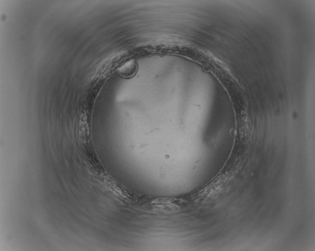 X0000058780918200510031016