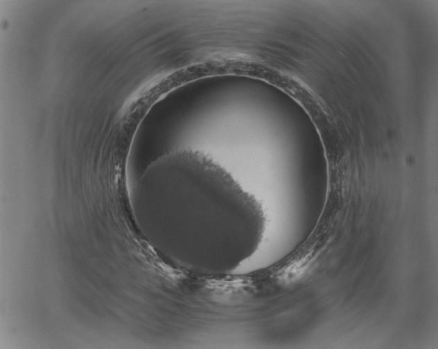 X0000058780919200510031016