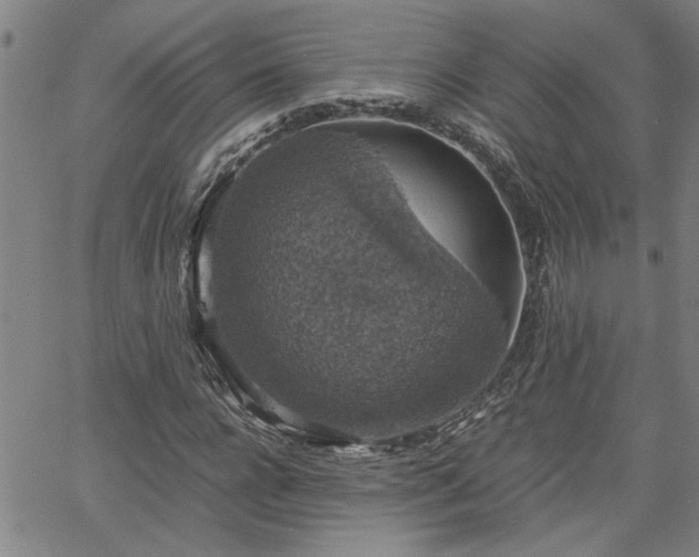 X0000058780920200510031016