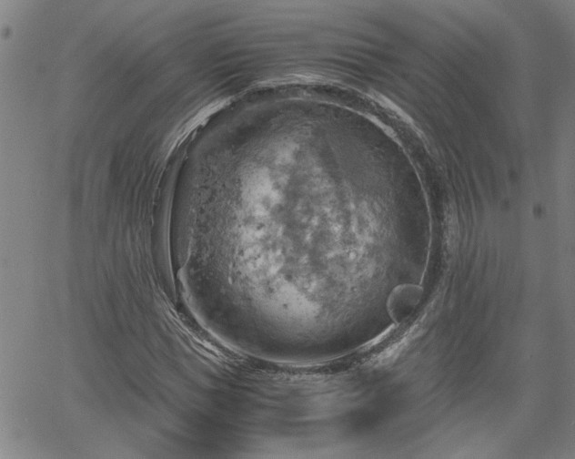 X0000058780921200510031016