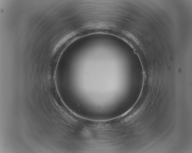 X0000058780922200510031016