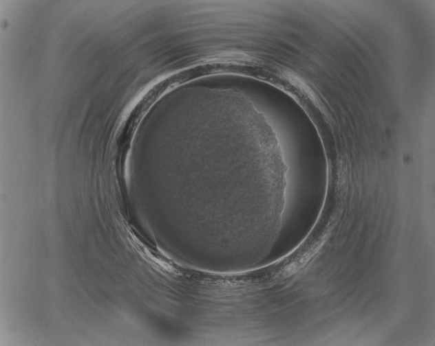 X0000058780923200510031016