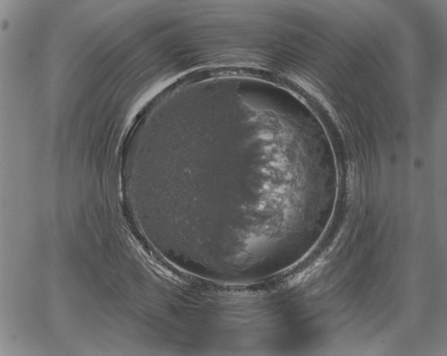 X0000058780925200510031016