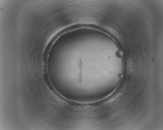 X0000058780926200510031016