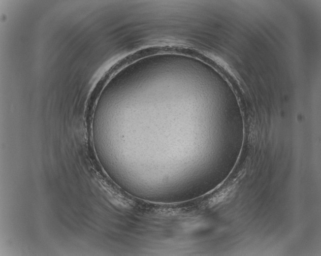 X0000058780927200510031016