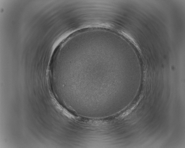 X0000058780928200510031016