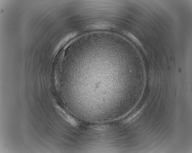 X0000058780930200510031016