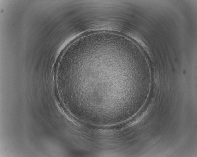 X0000058780933200510031016