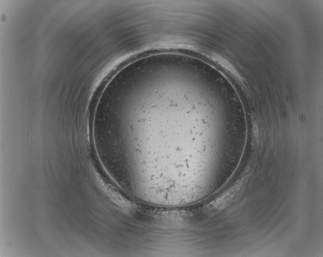 X0000058780934200510031016