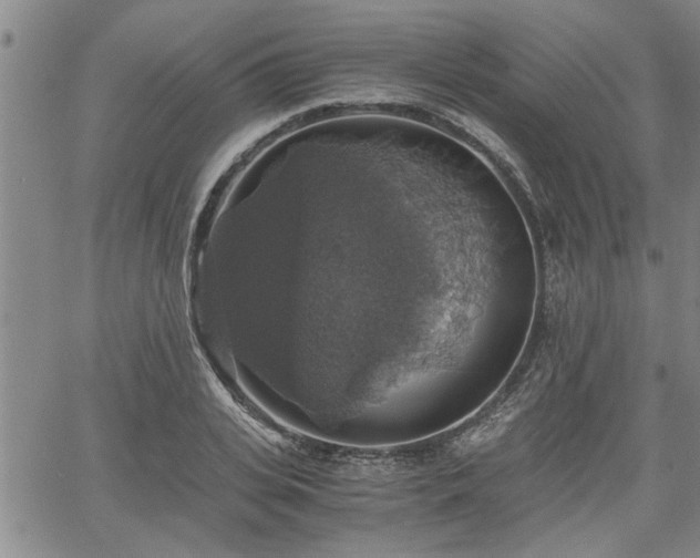 X0000058780935200510031016