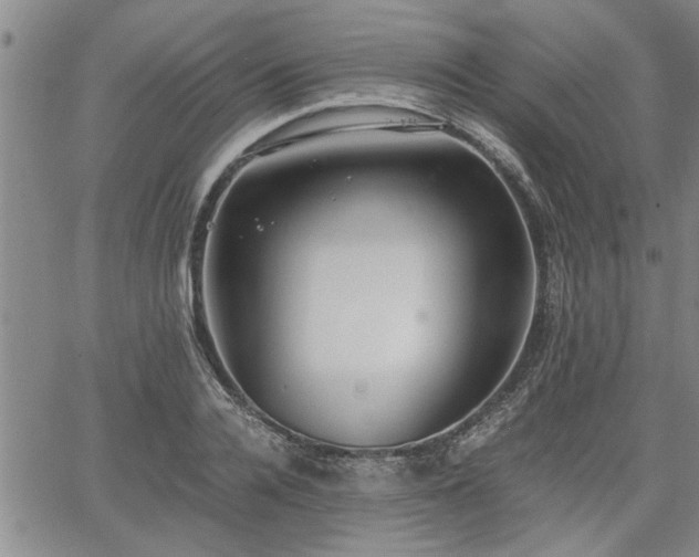 X0000058780936200510031016