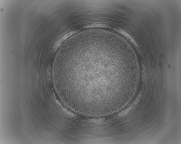 X0000058780937200510031016