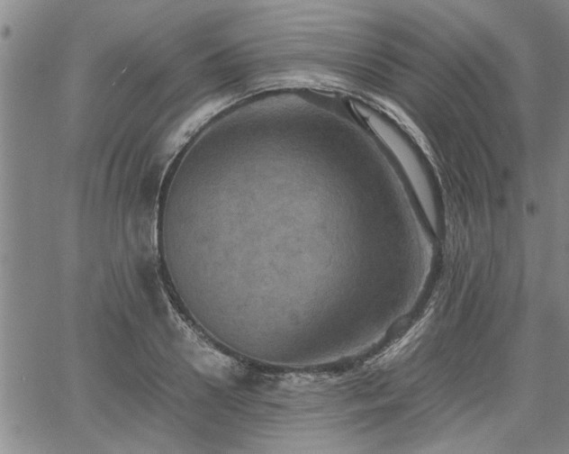 X0000058780938200510031016