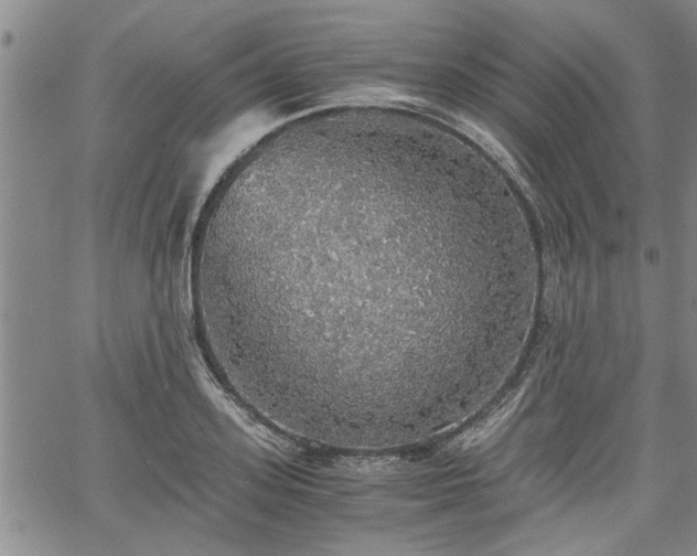 X0000058780939200510031016