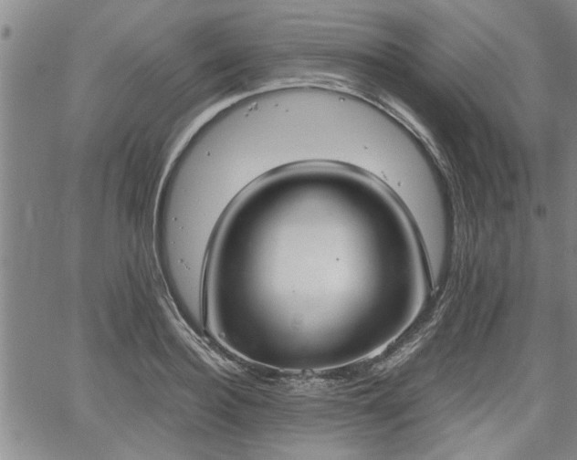 X0000058780940200510031016