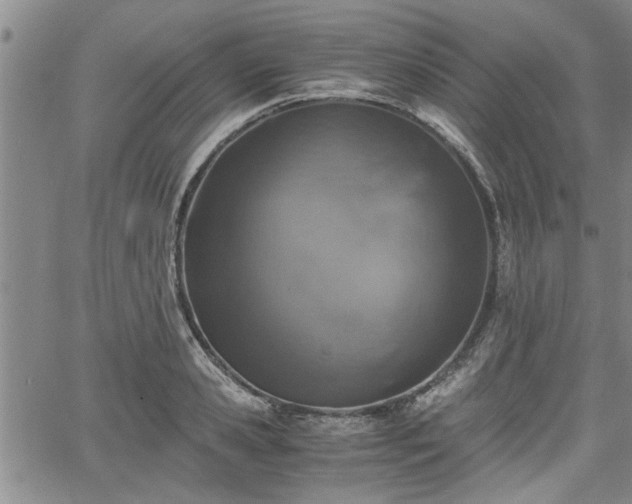 X0000058780941200510031016