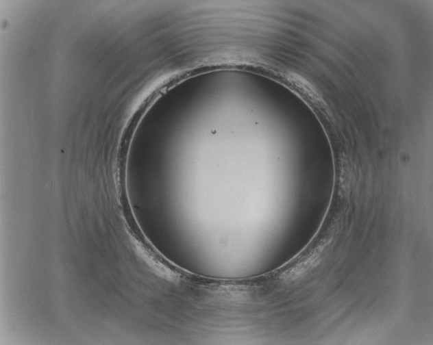 X0000058780942200510031016