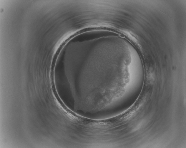 X0000058780943200510031016