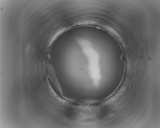 X0000058780945200510031016