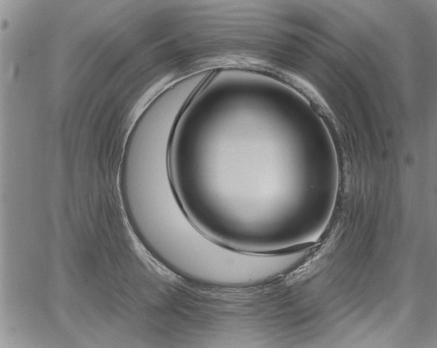 X0000058780946200510031016