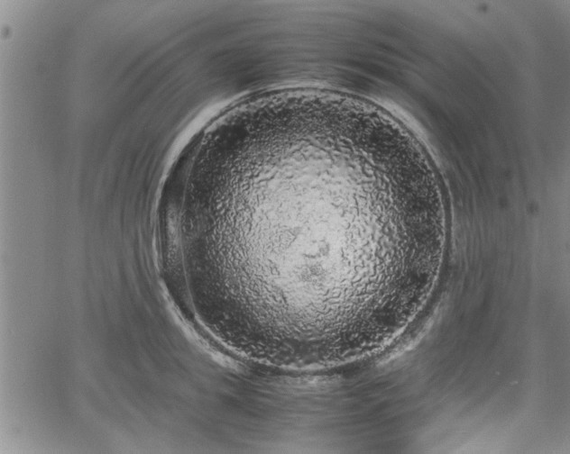 X0000058780949200510031016