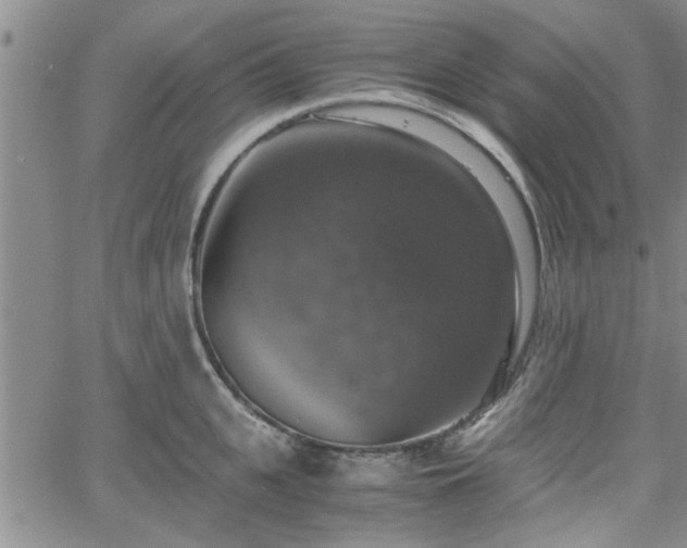 X0000058780951200510031016