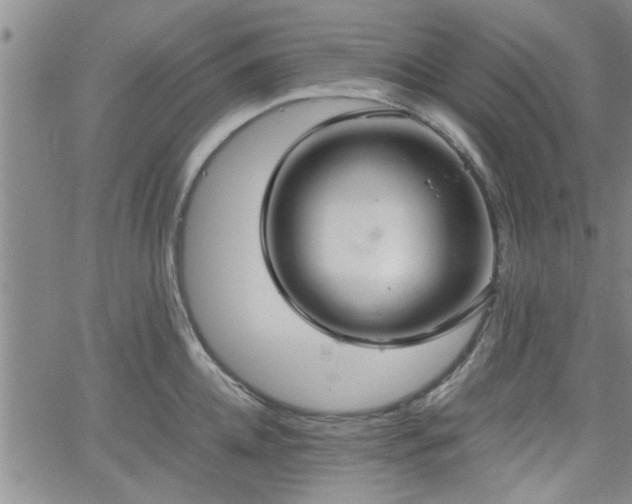 X0000058780952200510031016