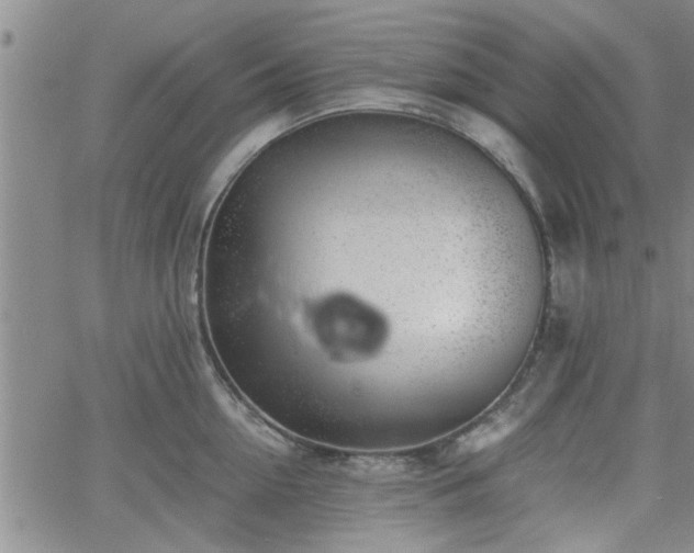 X0000058780954200510031017