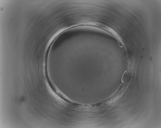 X0000058780955200510031017