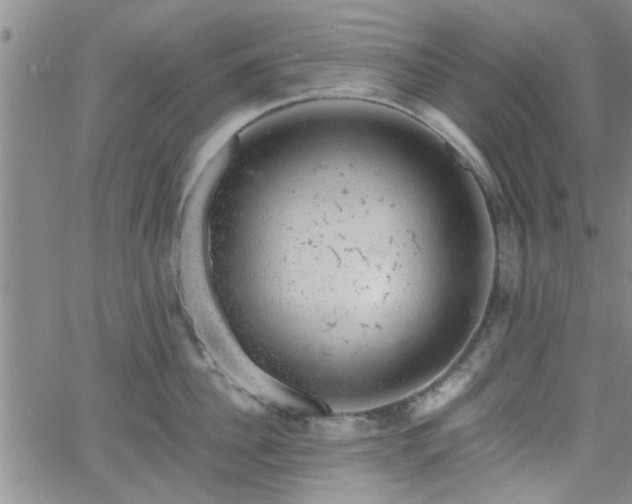 X0000058780956200510031017