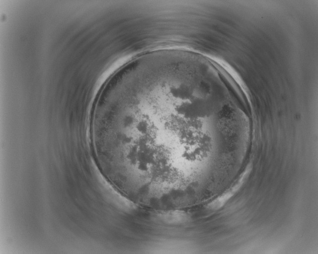 X0000058780957200510031017