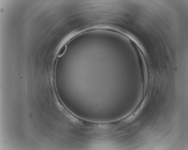 X0000058780958200510031017