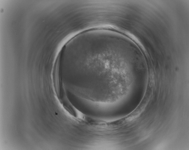 X0000058780959200510031017