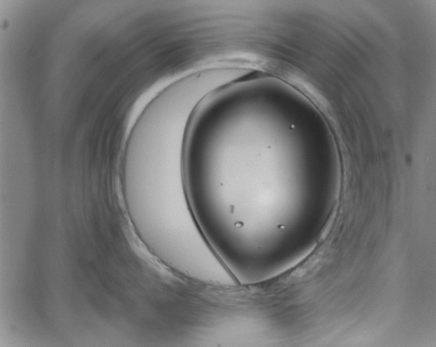 X0000058780960200510031017