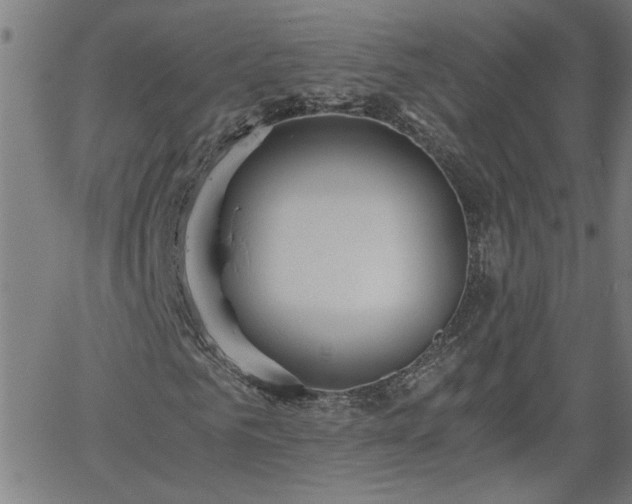 X0000058780961200510031016