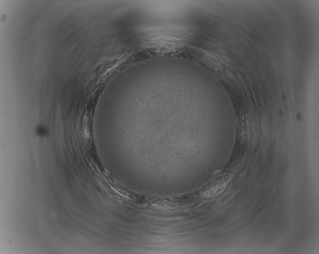 X0000058780962200510031016