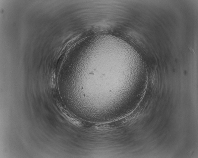 X0000058780964200510031016