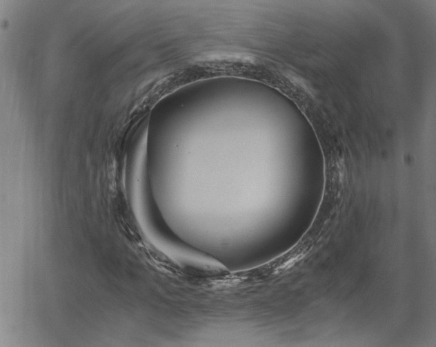 X0000058780965200510031016