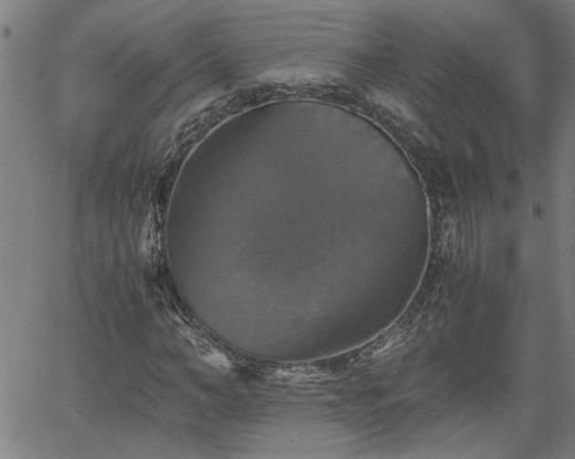 X0000058780966200510031016