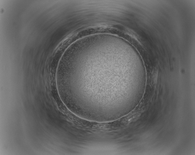 X0000058780967200510031016